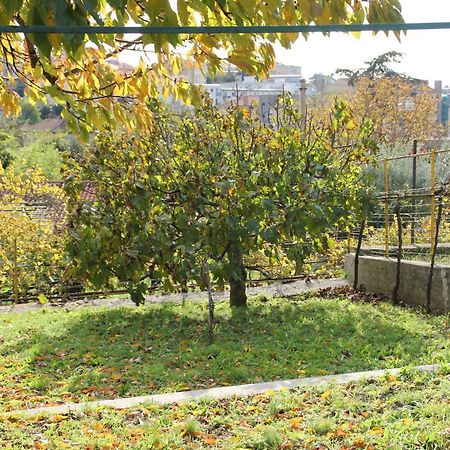 Il Gelsomino Βίλα Τεργέστη Εξωτερικό φωτογραφία