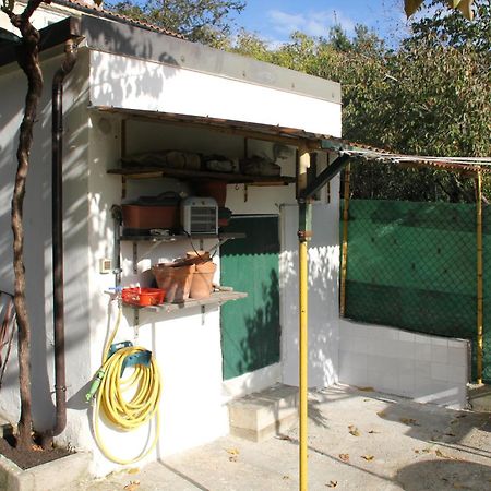 Il Gelsomino Βίλα Τεργέστη Εξωτερικό φωτογραφία