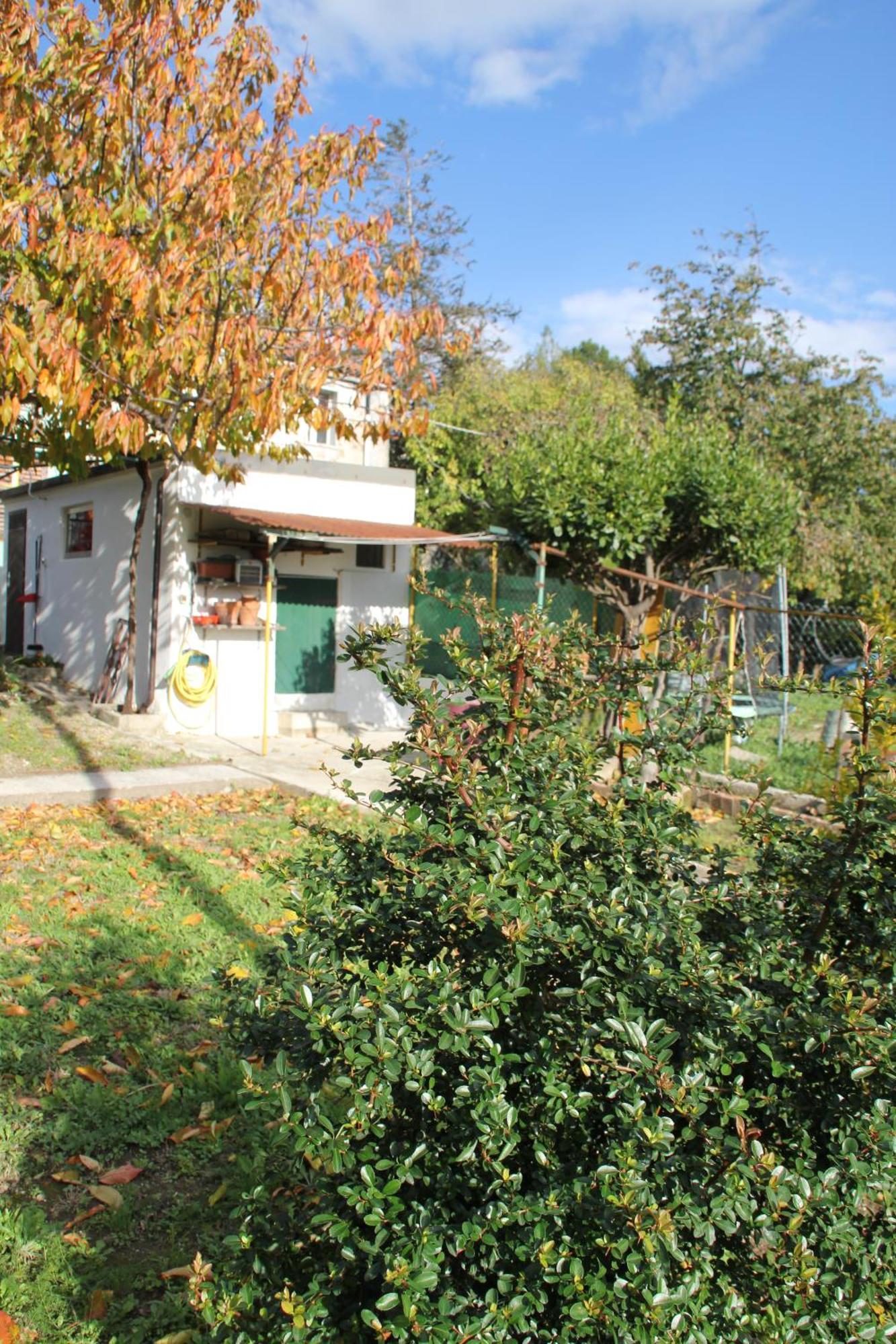 Il Gelsomino Βίλα Τεργέστη Εξωτερικό φωτογραφία