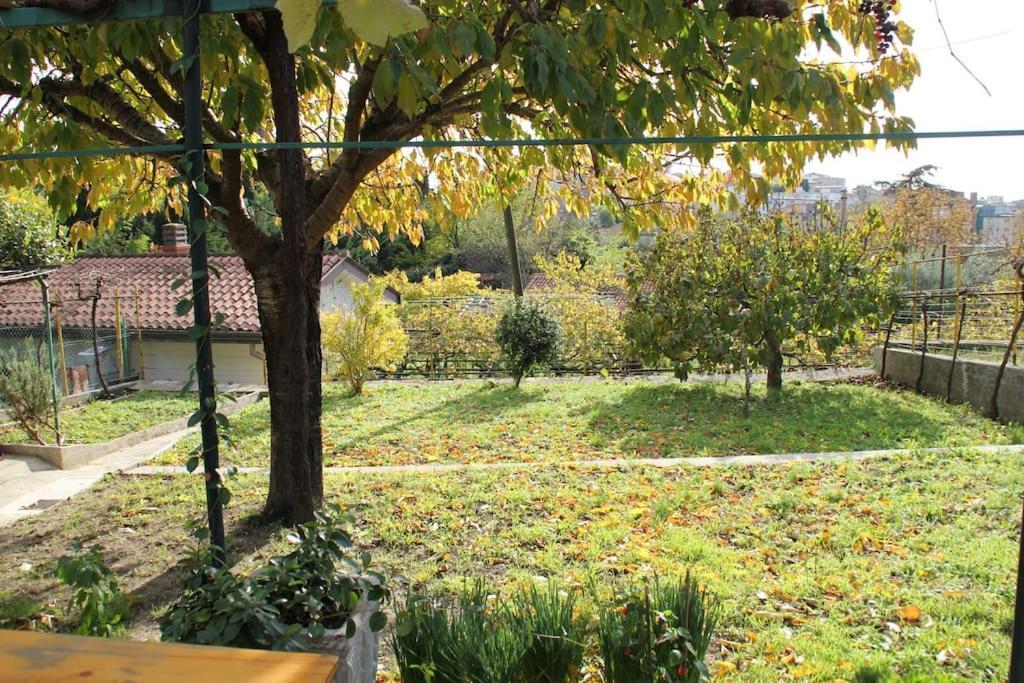 Il Gelsomino Βίλα Τεργέστη Εξωτερικό φωτογραφία