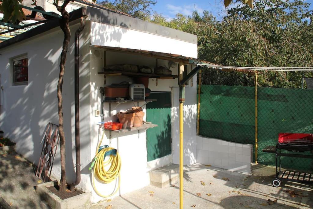 Il Gelsomino Βίλα Τεργέστη Εξωτερικό φωτογραφία